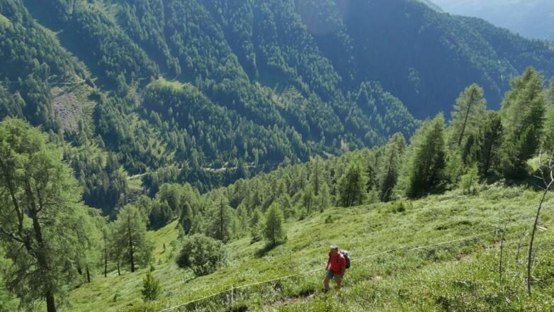 Aufstiegspassage, im Talgrund die Strasse ins Trojertal