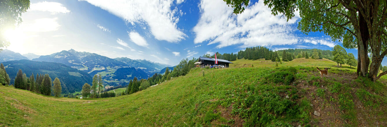 Panorama Meislsteinalm
