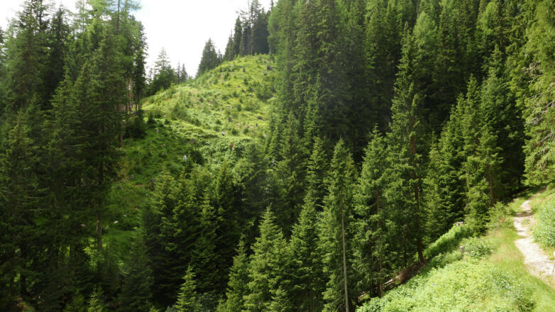 Wegpassage kurz vor dem Alpengasthof Jagastube