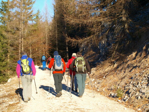 Auf der Forststraße bergwärts.
