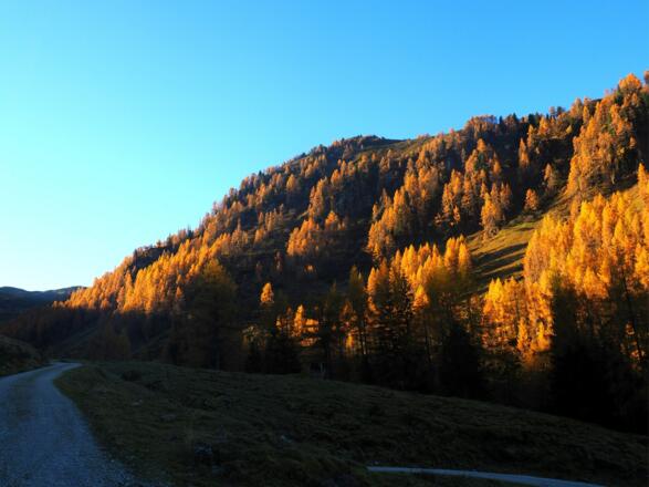 Anfahrt zur Schöntalalm um 1570m