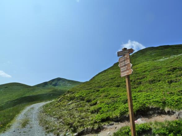 Wegweiser Nähe Zwölferkogel
