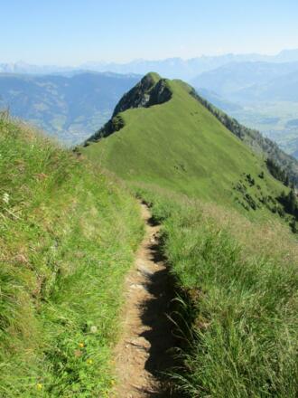 Alexander Enzinger Weg