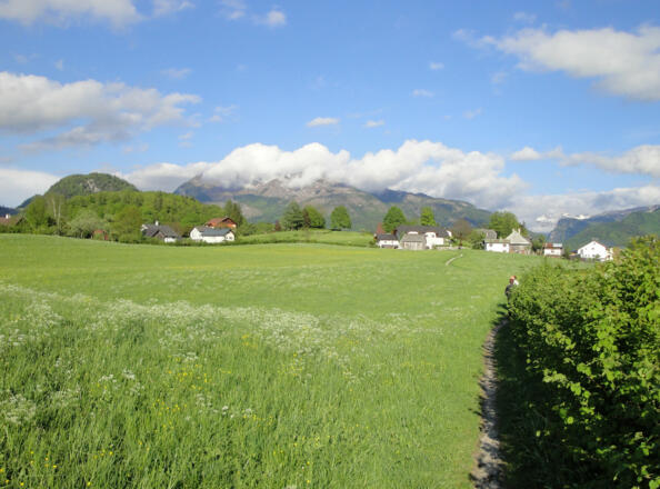Über grüne Wiesen geht es der Leschetitzkyhöhe entgegen.