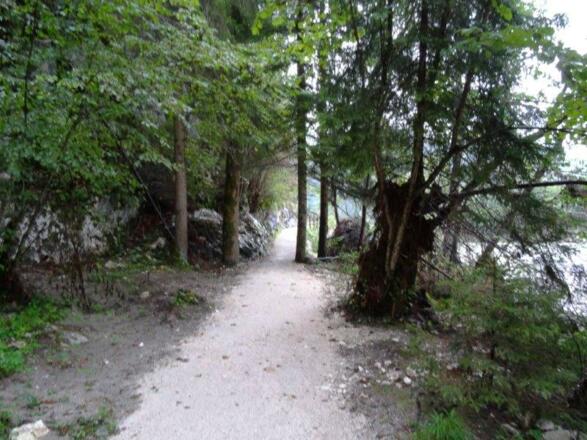 Schöner Weg dem Fluss entlang