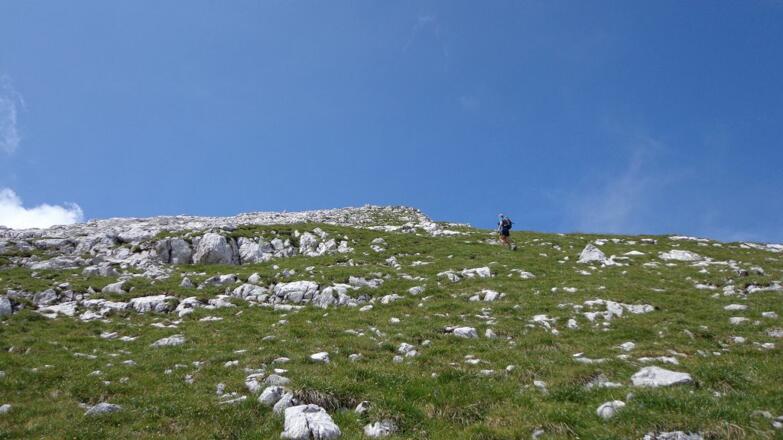 Auf den Grasmatten der Stempeljochspitze