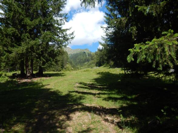 Blick Richtung Talschluss Alptal