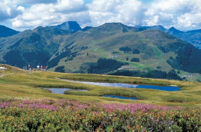 Panoramaweg mit Blick zum Geißstein