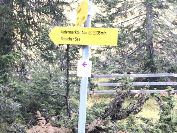 Wegweier nach dem Pilzpfad in Richtung Alptal