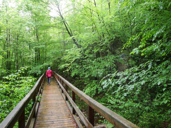 Am Elisabeth Waldweg