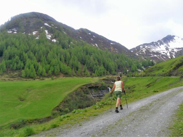 Almstraße zur Schmaranzalm