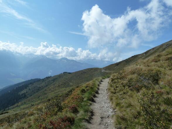 Pinzgauer Spaziergang