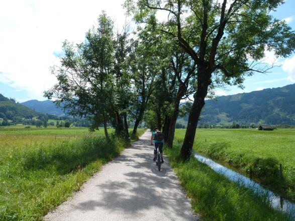 Durch die schöne Allee von Zell nach Bruck