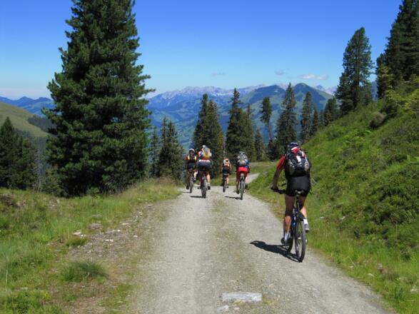 Im Hintergrund bereits der Wilde Kaiser