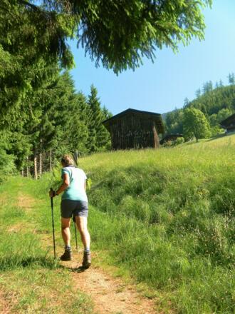 am Waldwanderweg zur Pinzgauer Hütte