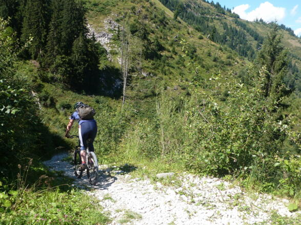Einfahrt in den Bachler-Trail 
