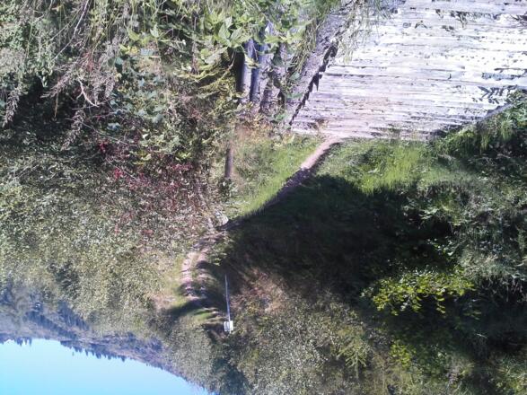 Holzbrücke auf der Abfahrt