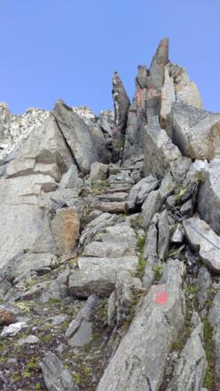 Aufstieg zur Gamsscharte