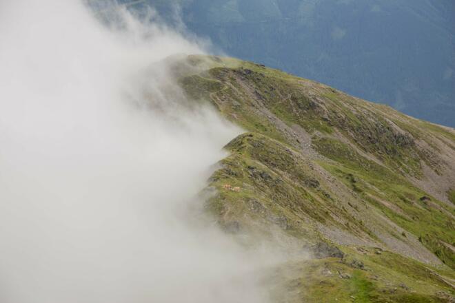 Manlitzkogel (c) BMA