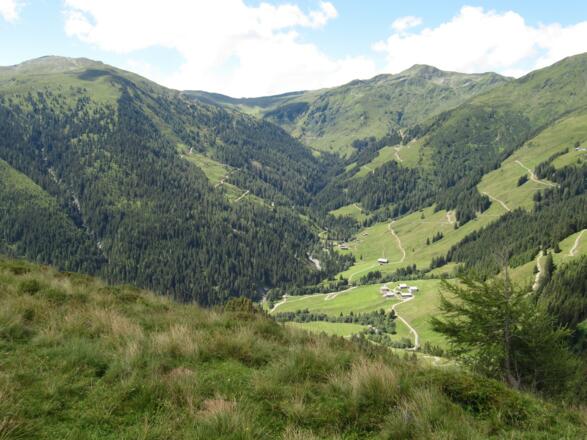 Der Weiterweg ist schon zu sehen, unten die Baumgartenalm, links der Wildkogel