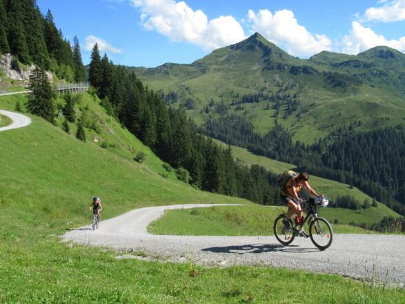 Auffahrt zum Brechhornhaus, mittig das Brechhorn