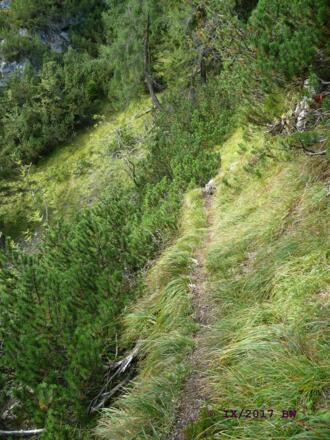 zwischen Hechenberg-Ostgipfel und dem Sattel