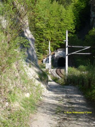 am Tunnelportal des Martinswandtunnel
