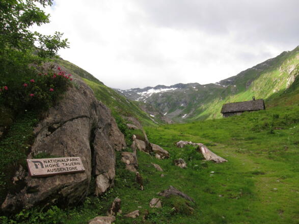 Am Rande  des Nationalparks (05.07.2016)