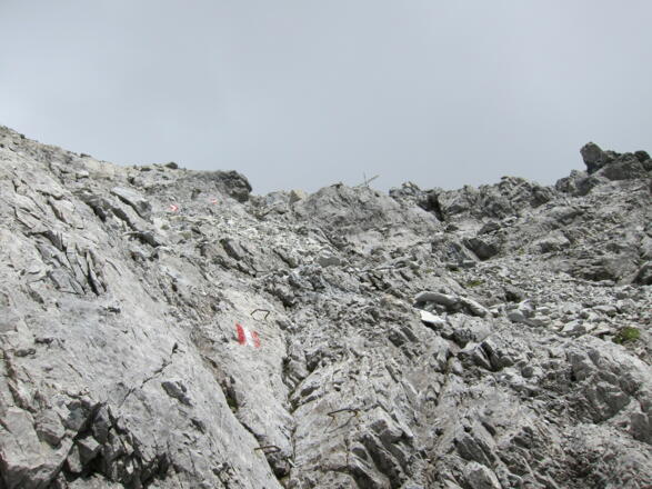 Kurz vorm Mosermandl (2680 m) (4.7.2016)