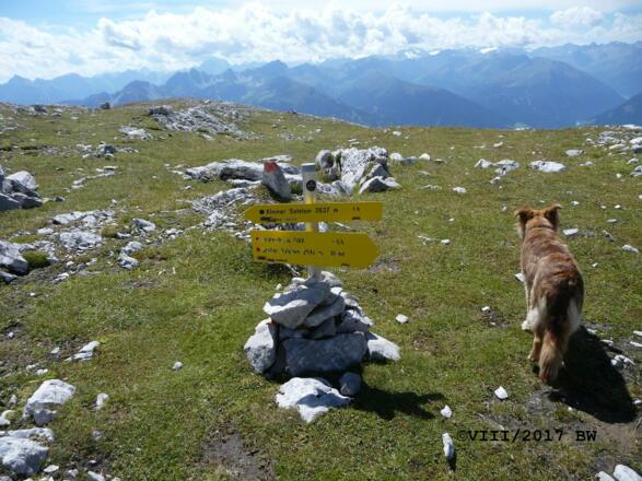 Solsteinsattel zwischen Großem und Kleinen Solstein, der Hund läuft in Richtung Höttinger Schützensteig