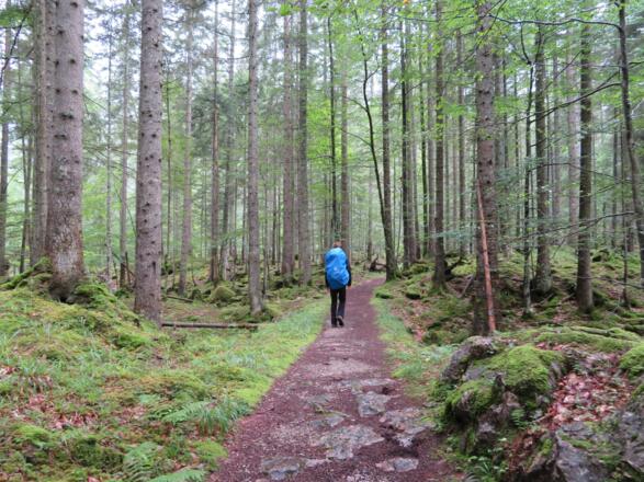 Auf alten gut befestigten Pfaden geht&#039;s Richtung Tiergartenhütte