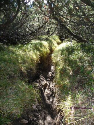 frei nach Schiller: &quot;durch diese hohle Gasse&quot;