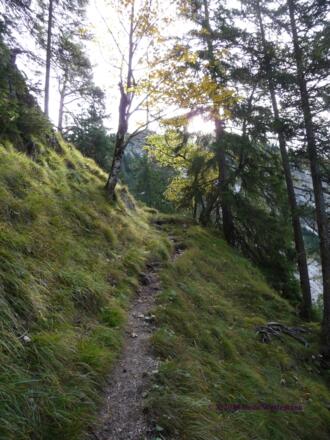 deutlich sichtbar aber spärlich markierter Pfad