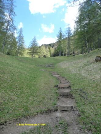 der neu trassierte Steig durch die Zirler Mähder