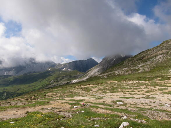 Around Taferlscharte (2236 m) (4.7.2016)
