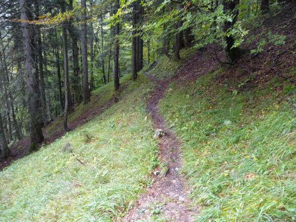 Anstieg zur Schoberwaldhütte nach Einmündung des Schleifwandsteiges