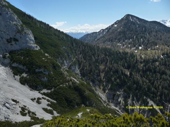 der Zirler Schützensteig durchquert die Südflanke des Großen Solstein