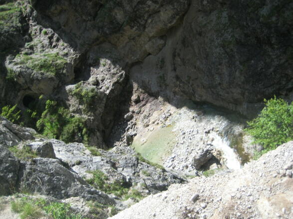 Kaisertal (4. Juni 2011)