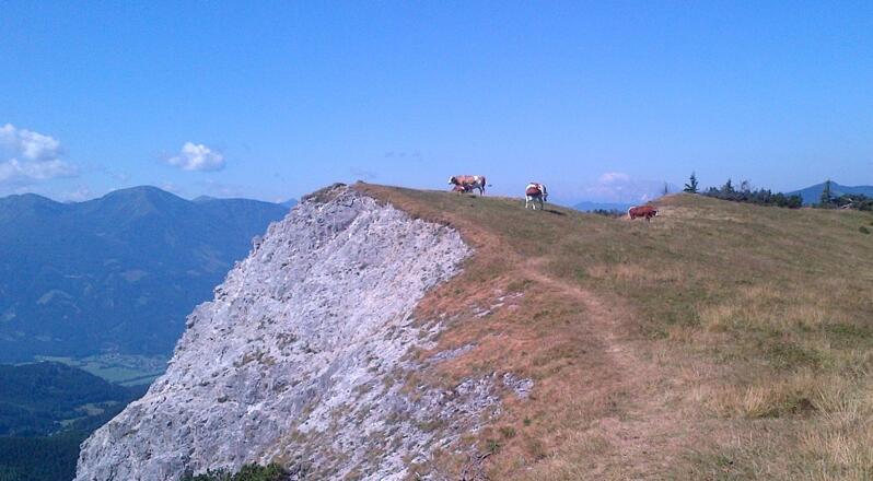 Scheiblegger Hochalm (Variante 01A)