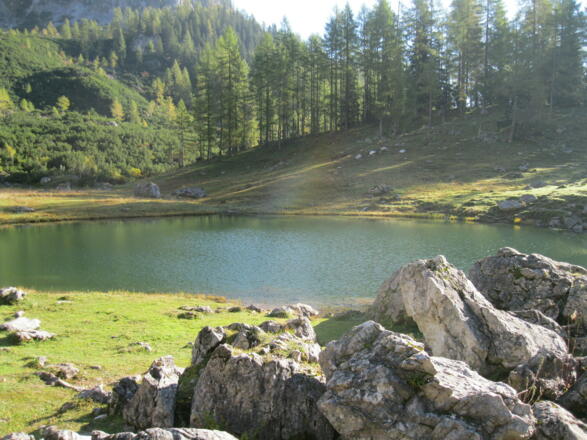 Am Brunnsteinersee (04.10.2014)
