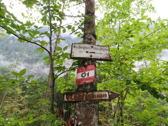 Beim Anstieg, unterhalb der Hirlatzwand