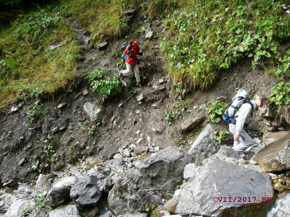 Bachquerung des AV-Weg 220 im Bereich Hinteregg (VII/2017)