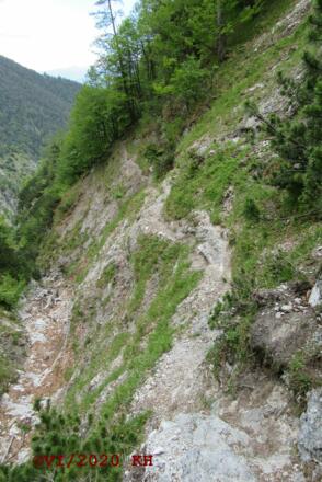 Der Schleifferwandsteig führt durch die Nordflanke des Hechenbergs