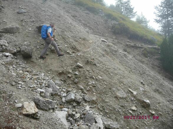 Querung von Reissen am AV-Weg 220 (VII/2017)