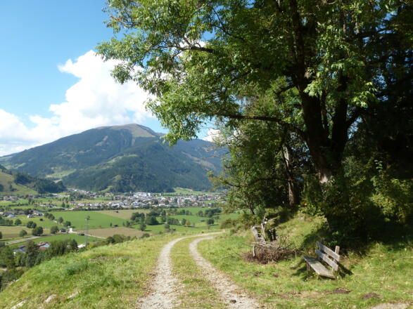 Rastplatz mit Erfrischungsmöglichkeit. 