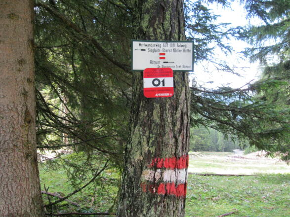 Am Hauptweg Klinke-Hütte - Admont (14.09.2012)