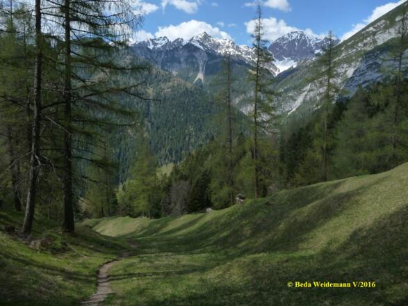 Aufstieg durch die Zirler Mähder mit Blick zur Erlspitze