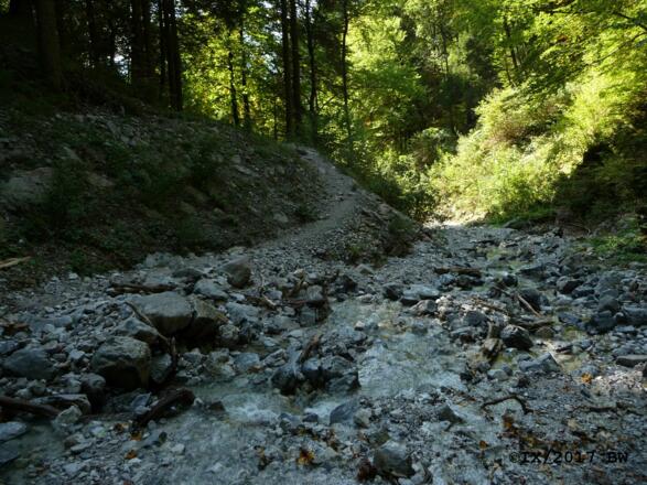 der Schleiferwandsteig quert den Bach aus der Kranebitter Klamm