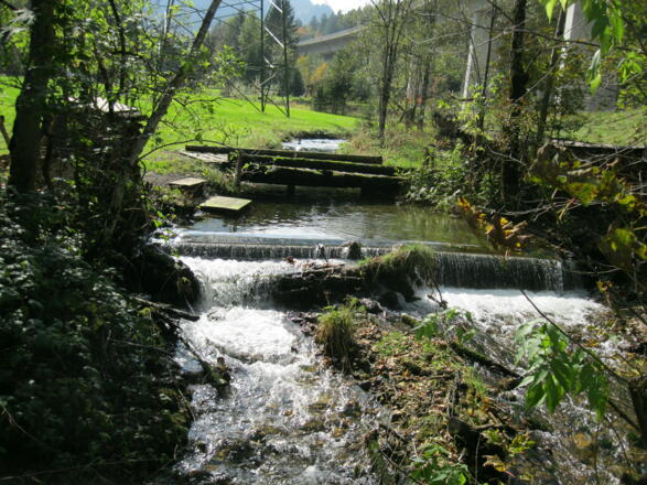 Wasserthemenweg - Aufstieg auf die Wurzeralm (03.10.2014)
