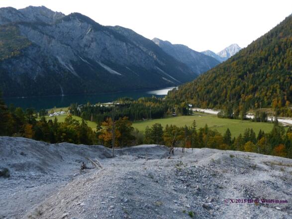 Blick zurück zum Plansee